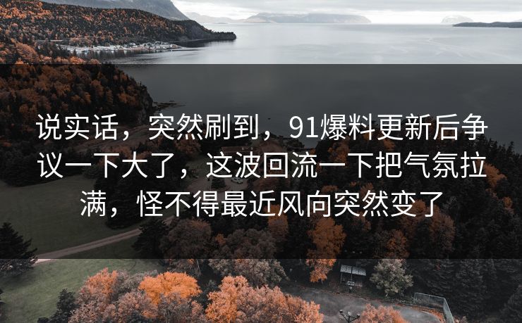 说实话，突然刷到，91爆料更新后争议一下大了，这波回流一下把气氛拉满，怪不得最近风向突然变了